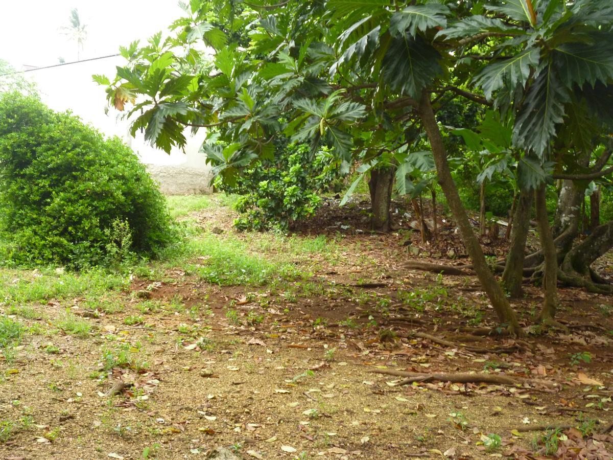 Posada Nativa Miss Casira San Andrés Kültér fotó